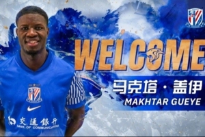 记者：盖伊、米内罗、李可未随申花队出征杭州，盖伊训练中拉伤