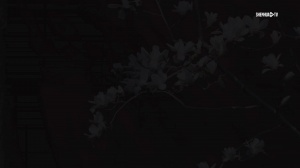 2026中超联赛第3轮北京国安1-1上海申花 Match Day比赛日纪实